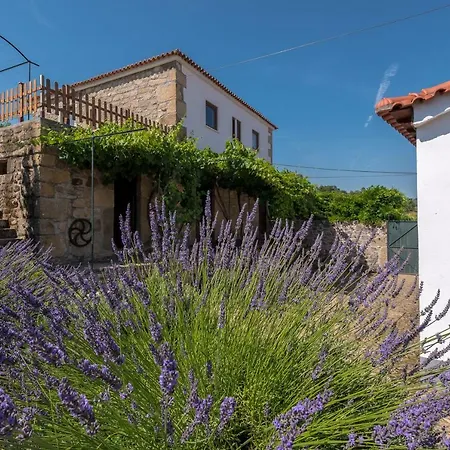 Quinta Do Acipreste *