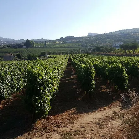 Quinta Do Acipreste דירה *