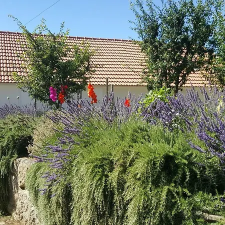 Quinta Do Acipreste Appartement *