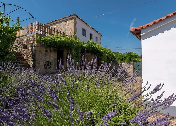 Quinta Do Acipreste *