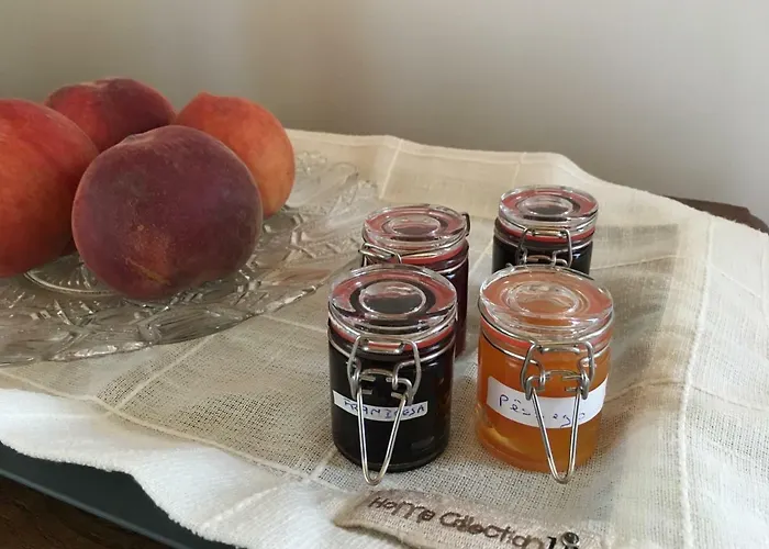 아파트 Quinta Do Acipreste 라메구