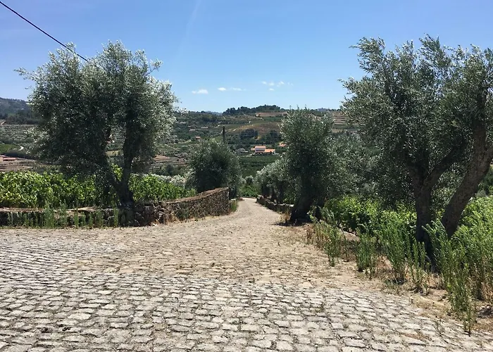 Lejlighed Quinta Do Acipreste Lamego