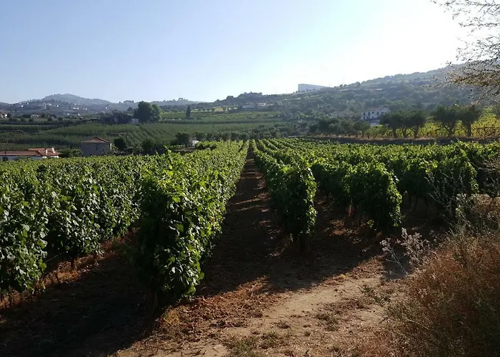 Quinta Do Acipreste Lejlighed *