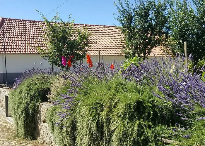 Quinta Do Acipreste 아파트 *