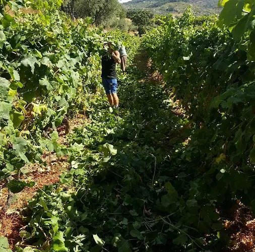 Quinta Do Acipreste 아파트