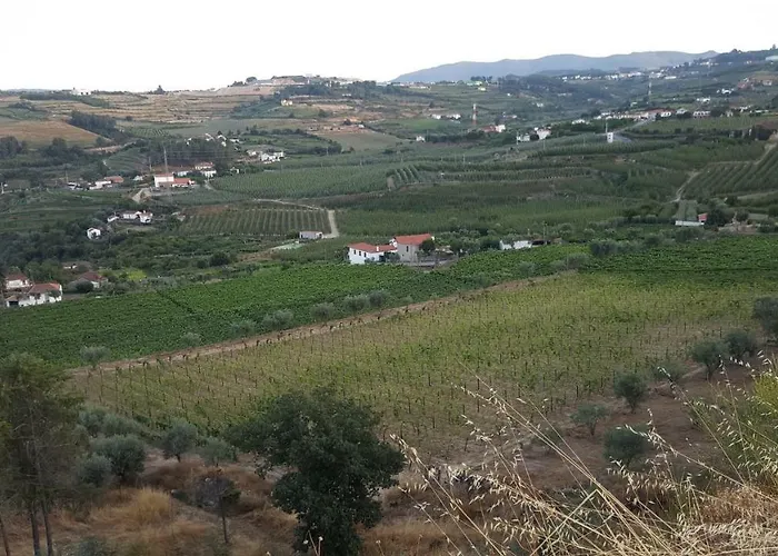 아파트 Quinta Do Acipreste 라메구